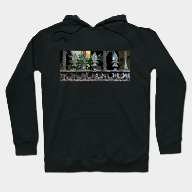 FLEUR DE LIS FENCE Hoodie by JerryGranamanPhotos71